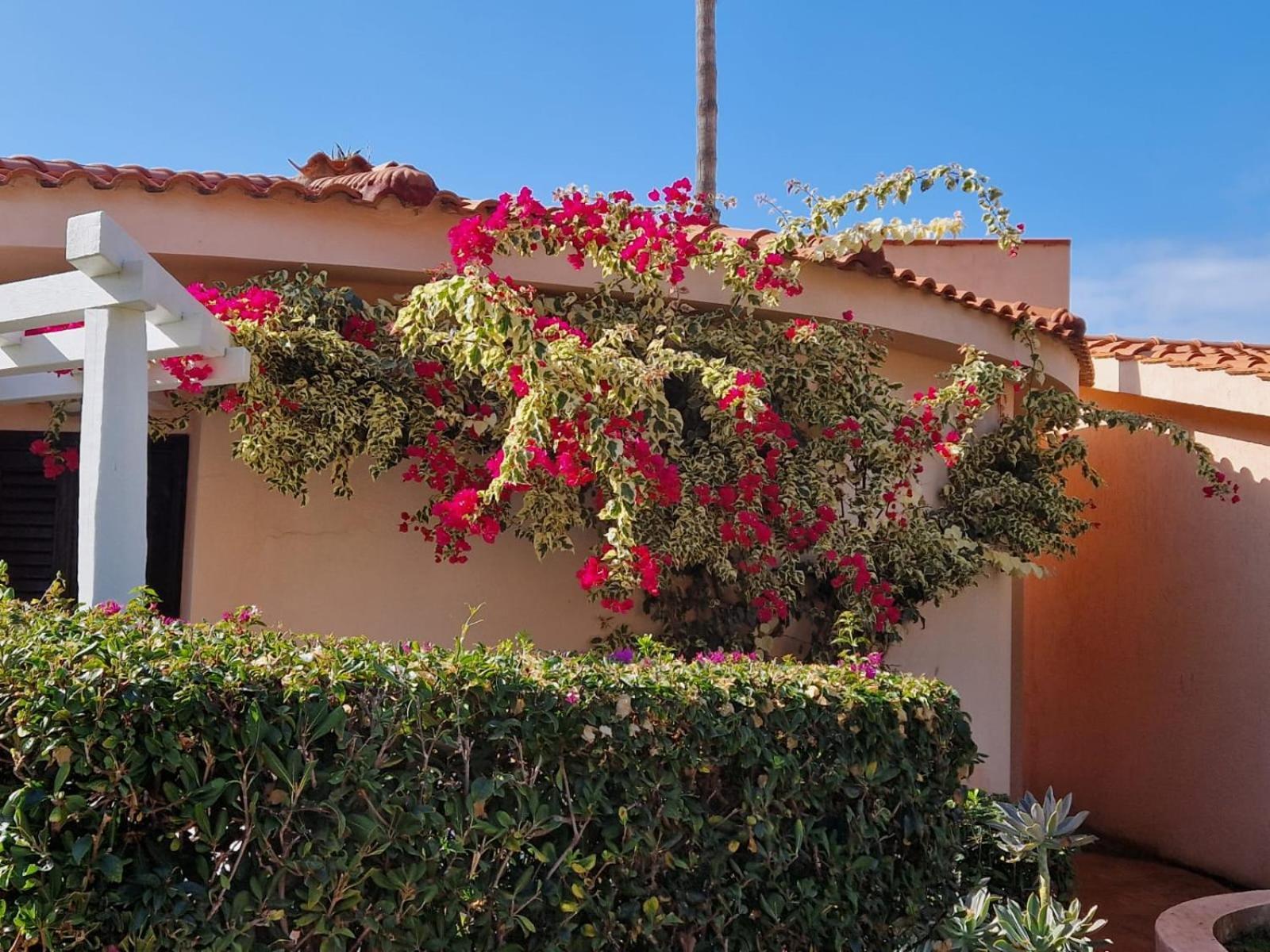 Hotel Villaggio Cala Di Volpe Capo Vaticano Exterior photo