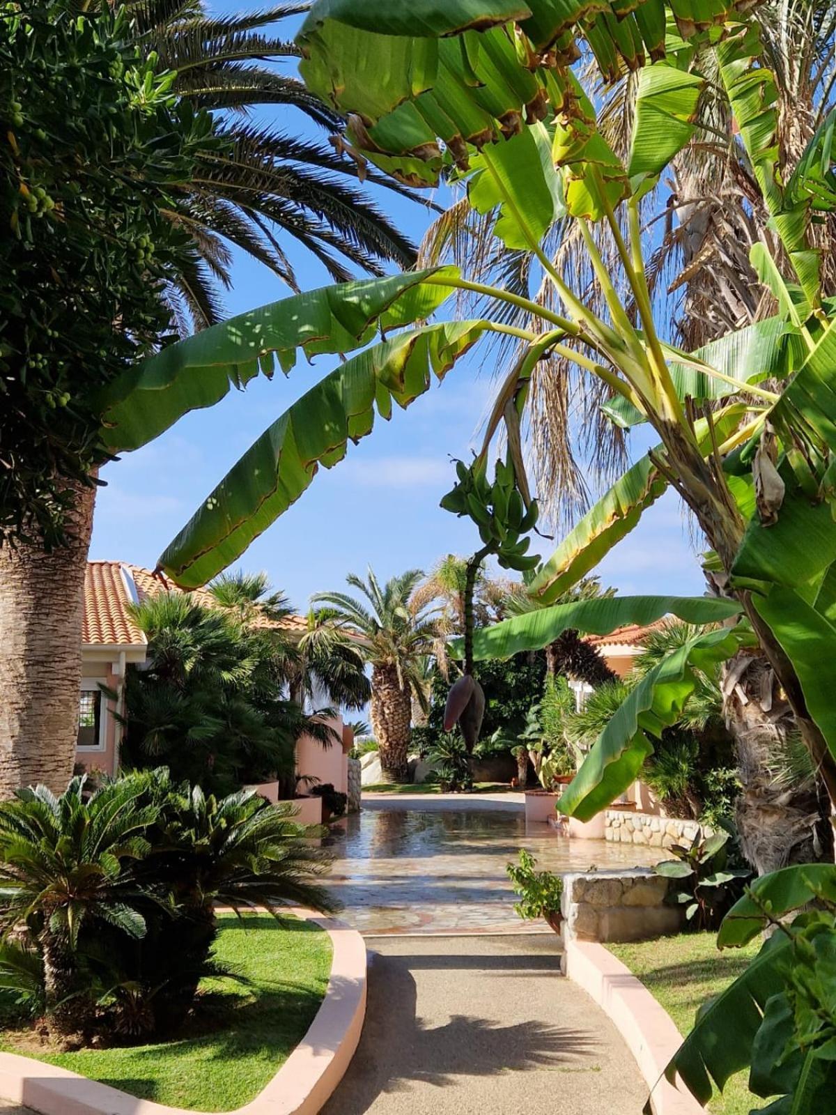 Hotel Villaggio Cala Di Volpe Capo Vaticano Exterior photo